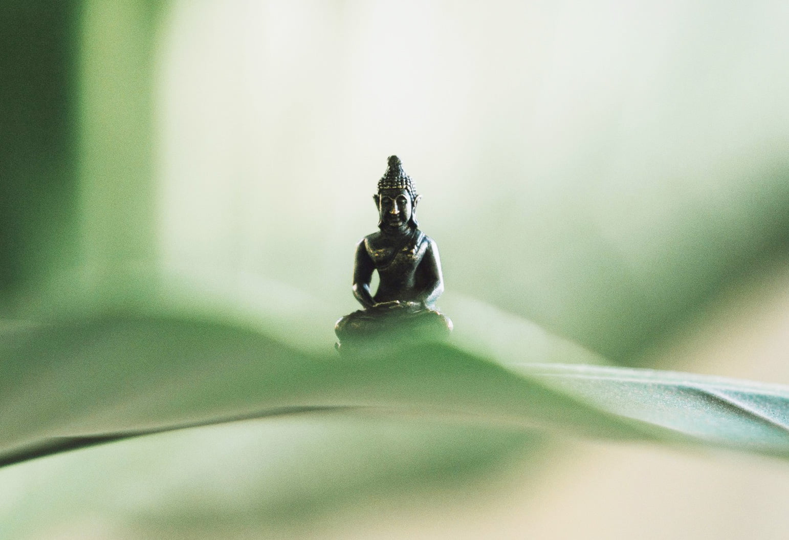 冥想感悟之二 - 插图1 - 冥想感悟之二 - 宇宙小抹布